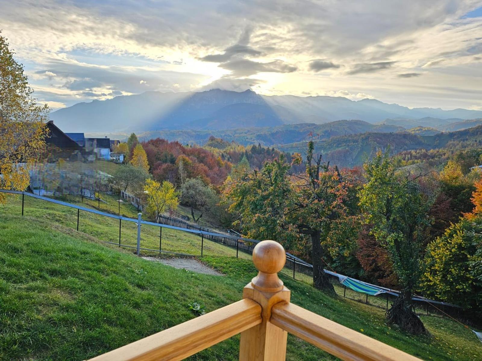 Carpathia Magic -Adults Only Villa Peştera Eksteriør billede