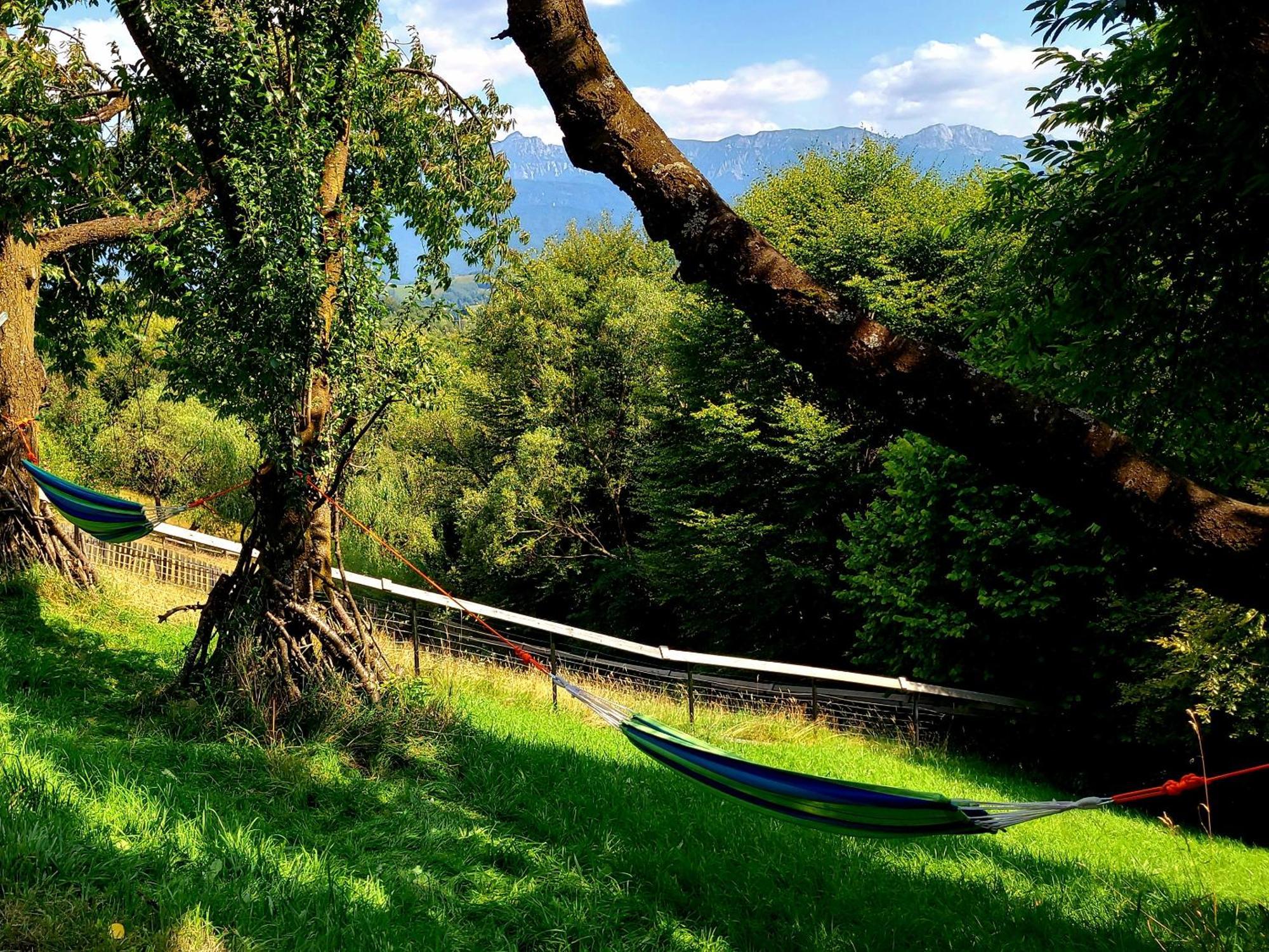 Carpathia Magic -Adults Only Villa Peştera Eksteriør billede